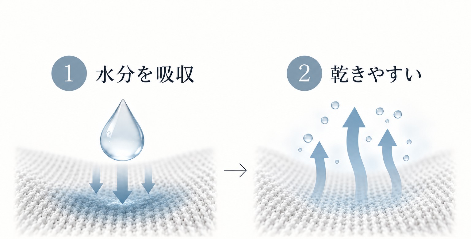 水分を吸収し、乾きやすいことを示すオリジナル図解