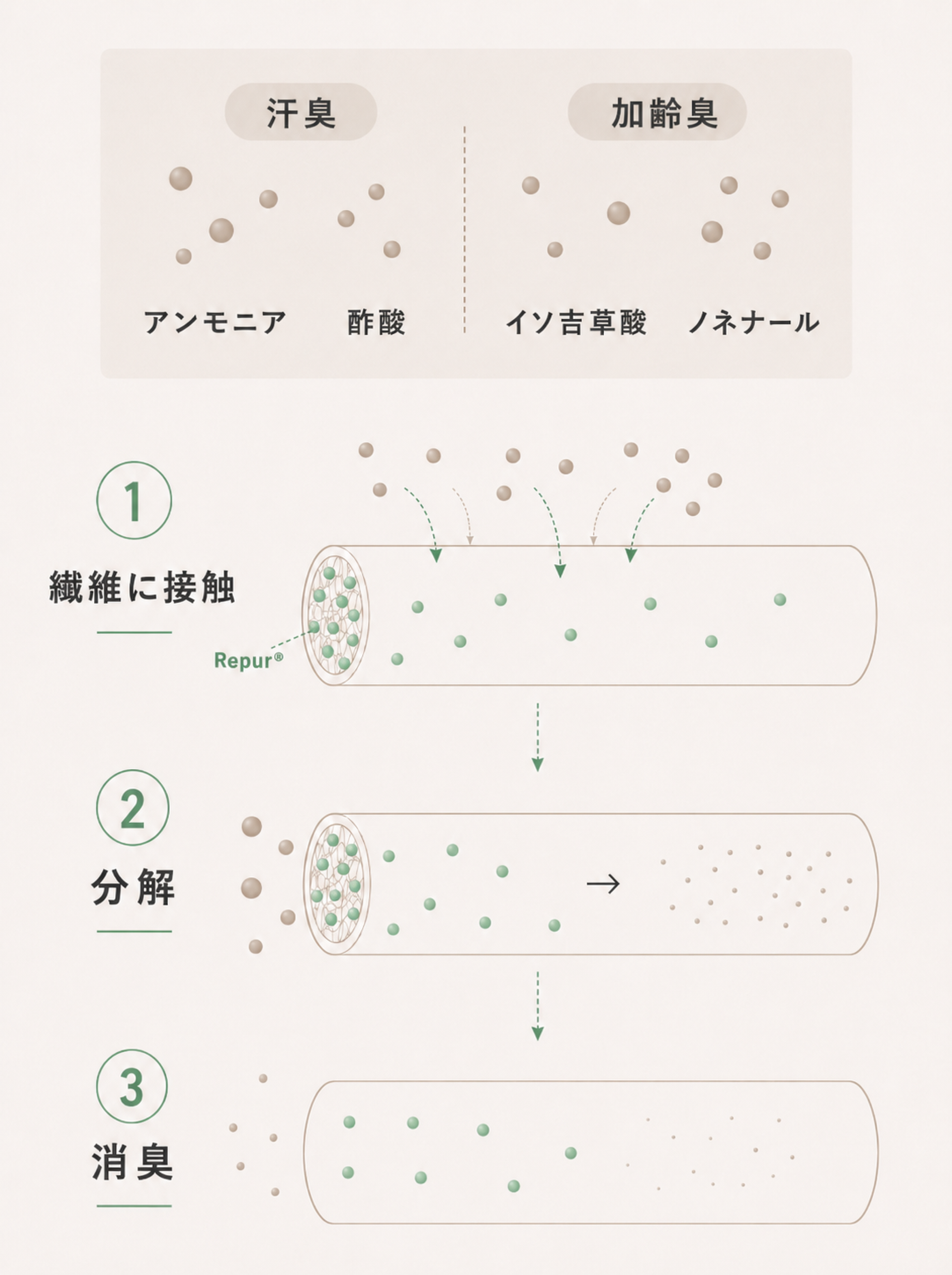 汗臭・加齢臭に消臭で向き合う